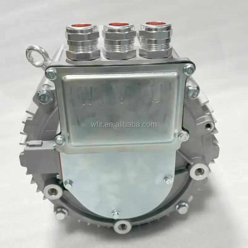 20kW PMSM 전기 모터 키트, 최대 출력 45kW - Ev Electric Motor Conversion Kit Car 리뷰 및 가격
